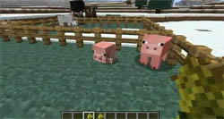animais do bebê